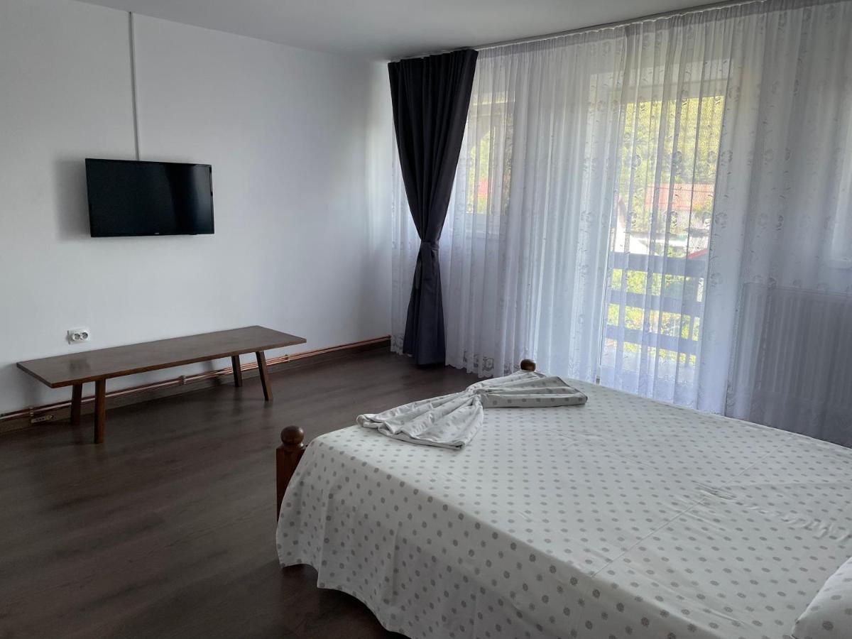 Cazare Vila Maria Apartment Curtea de Argeş Exterior foto