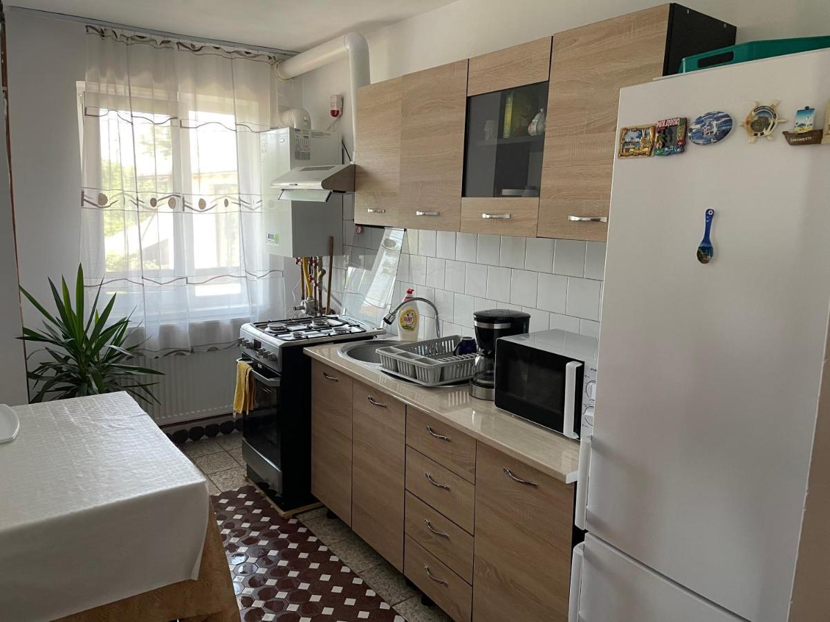 Cazare Vila Maria Apartment Curtea de Argeş Exterior foto